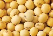 Load image into Gallery viewer, SOYA BEANS