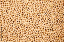 Load image into Gallery viewer, SOYA BEANS